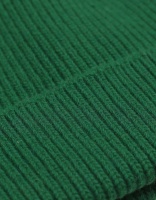 Colorful Standard Wool Hat Kelly Green